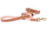 Brown Leather Collar & Leash Set