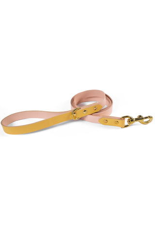 Yellow Leather Dog Leash