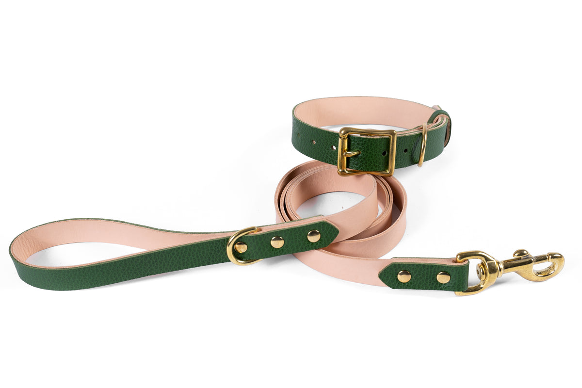 Leather dog collar on sale and lead set