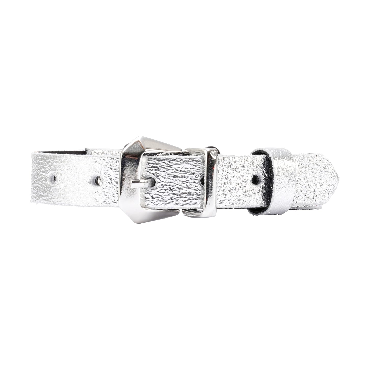 Metallic Effect Cat Collar With Breakaway Safety Buckle