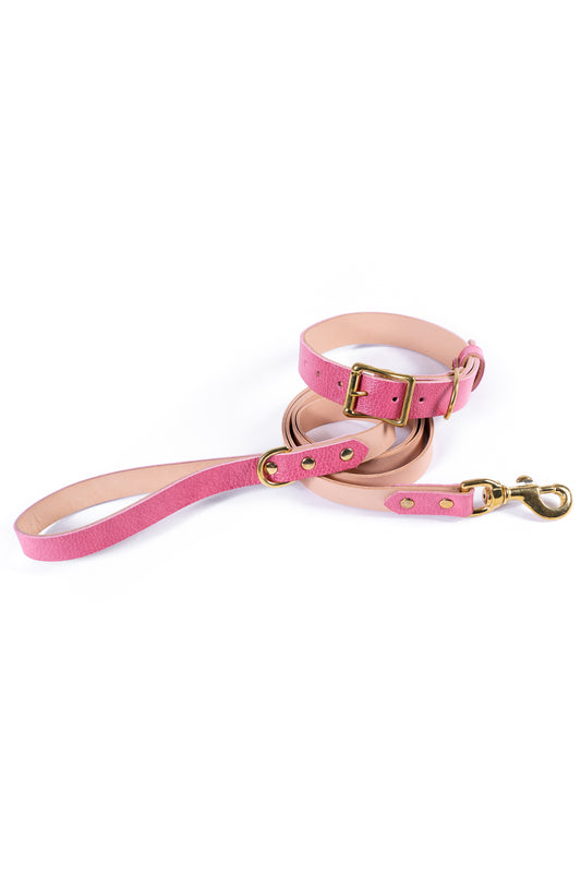 Pink Leather Collar & Leash Set