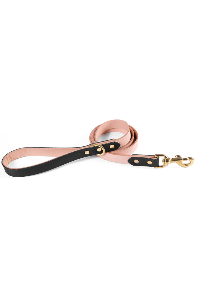 Dog leash - Mystery Black 🖤 – Petsochic