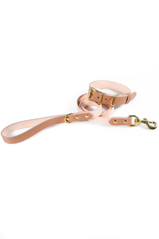 Light Brown Leather Collar & Leash Set